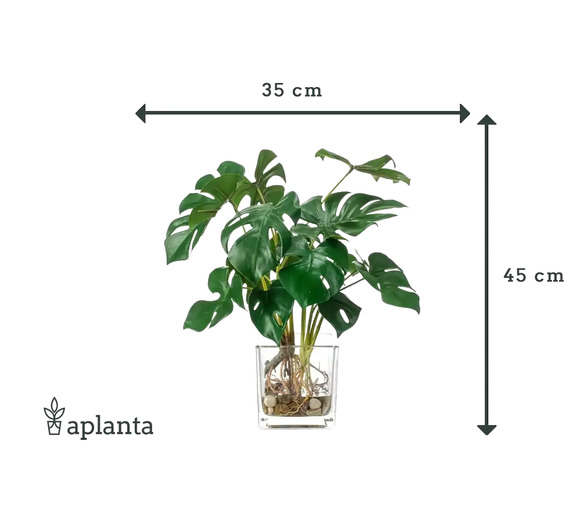 Künstliche Monstera - Joy | 45 cm