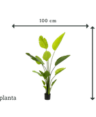 Künstliche Strelitzia - Colin | 150 cm