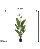 Künstliche Strelitzia - Constantin | 120 cm