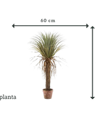 Künstliche Yucca Palme - Kristina | 110 cm