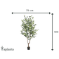 Künstlicher Eucalyptus Baum - Christopher | 180 cm