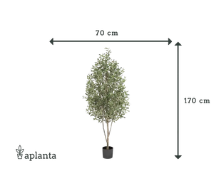 Künstlicher Olivenbaum - Cheyenne | 170 cm