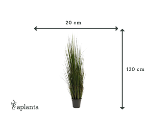 Künstliches Gras - Hanno | 120 cm