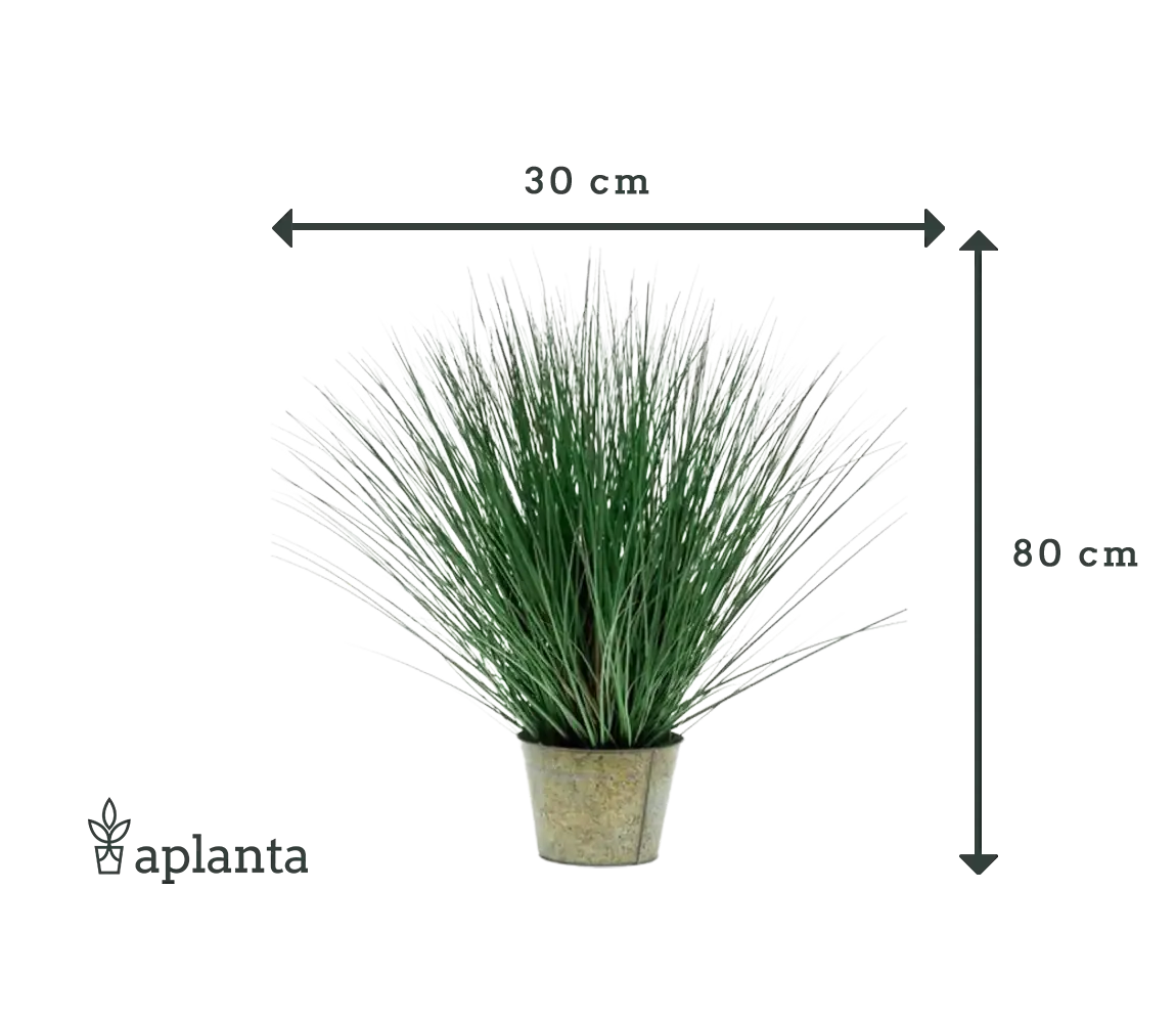 Künstliches Gras - Irene | 80 cm