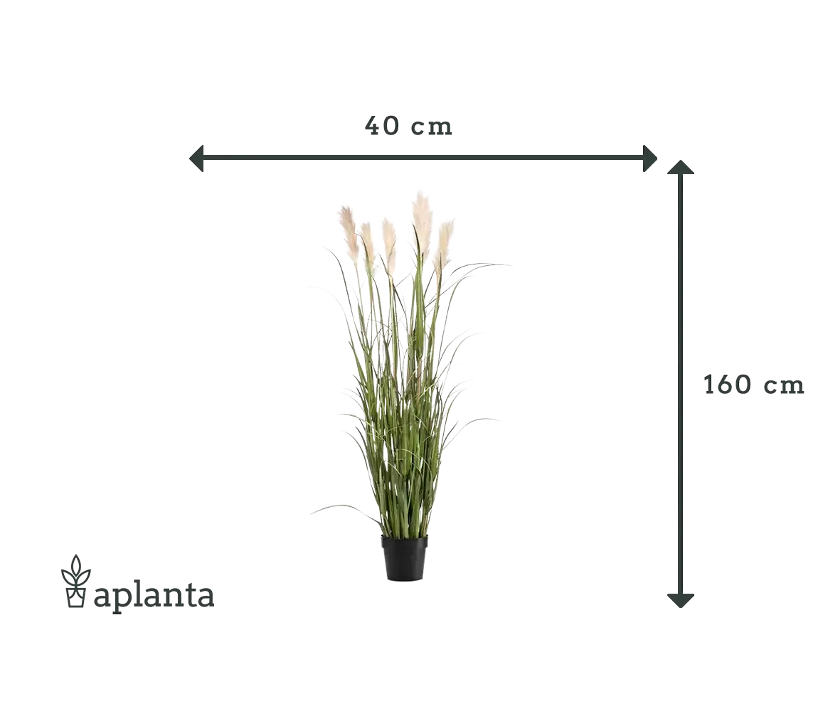 Künstliches Pampasgras - Luis | 160 cm