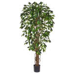 Künstlicher Ficus - Norbert, 150 cm, Kunstbaum von aplanta, feuerhemmend, B1-zertifiziert, in Grün, für drinnen