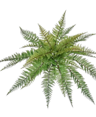 Künstlicher Farn - Sieglinde | 48 cm