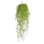 Künstliche Tillandsia - Erwin, 75 cm, Kunstpflanze von aplanta, feuerhemmend, B1-zertifiziert, Steckpflanze, in Grün