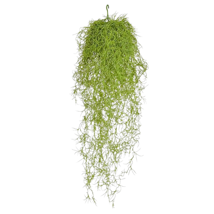 Künstliche Tillandsia - Erwin, 75 cm, Kunstpflanze von aplanta, feuerhemmend, B1-zertifiziert, Steckpflanze, in Grün
