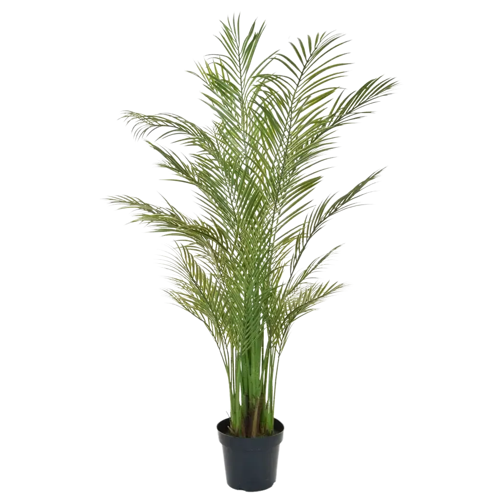 Palma Areca artificiale - Amelie | 180 cm