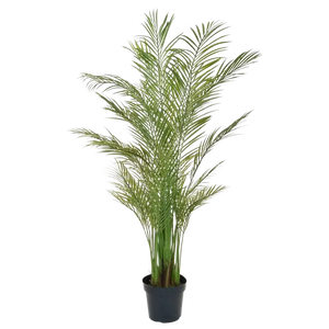 Palma Areca artificiale - Amelie | 180 cm