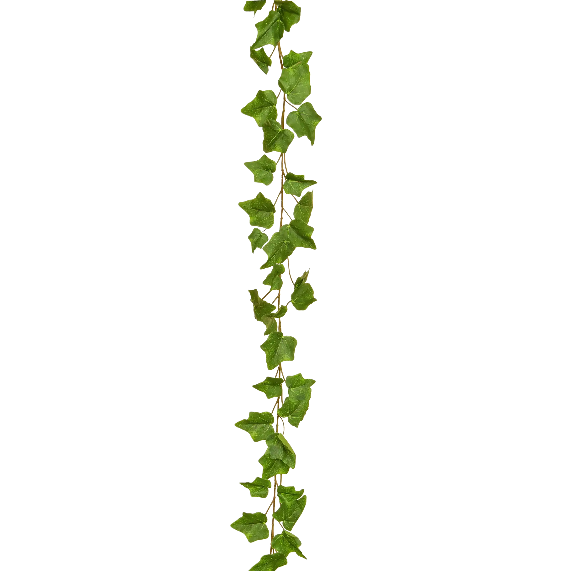 Ghirlanda di edera artificiale - Marlies | 220 cm