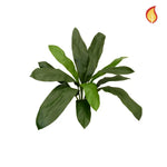 Künstlicher Cordylinezweig - Dietrich, 88 cm, Kunstpflanze von aplanta, feuerhemmend, B1-zertifiziert, in Grün, für drinnen