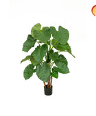 Künstliche Alocasia - Rolf | 120 cm