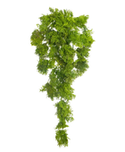 Künstliches Hänge-Moos - Bärbel | 35 cm