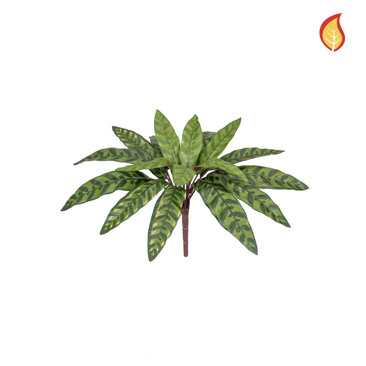 Künstliche Calathea - Hermann, 37 cm, Kunstpflanze von aplanta, feuerhemmend, B1-zertifiziert, in Grün, für drinnen
