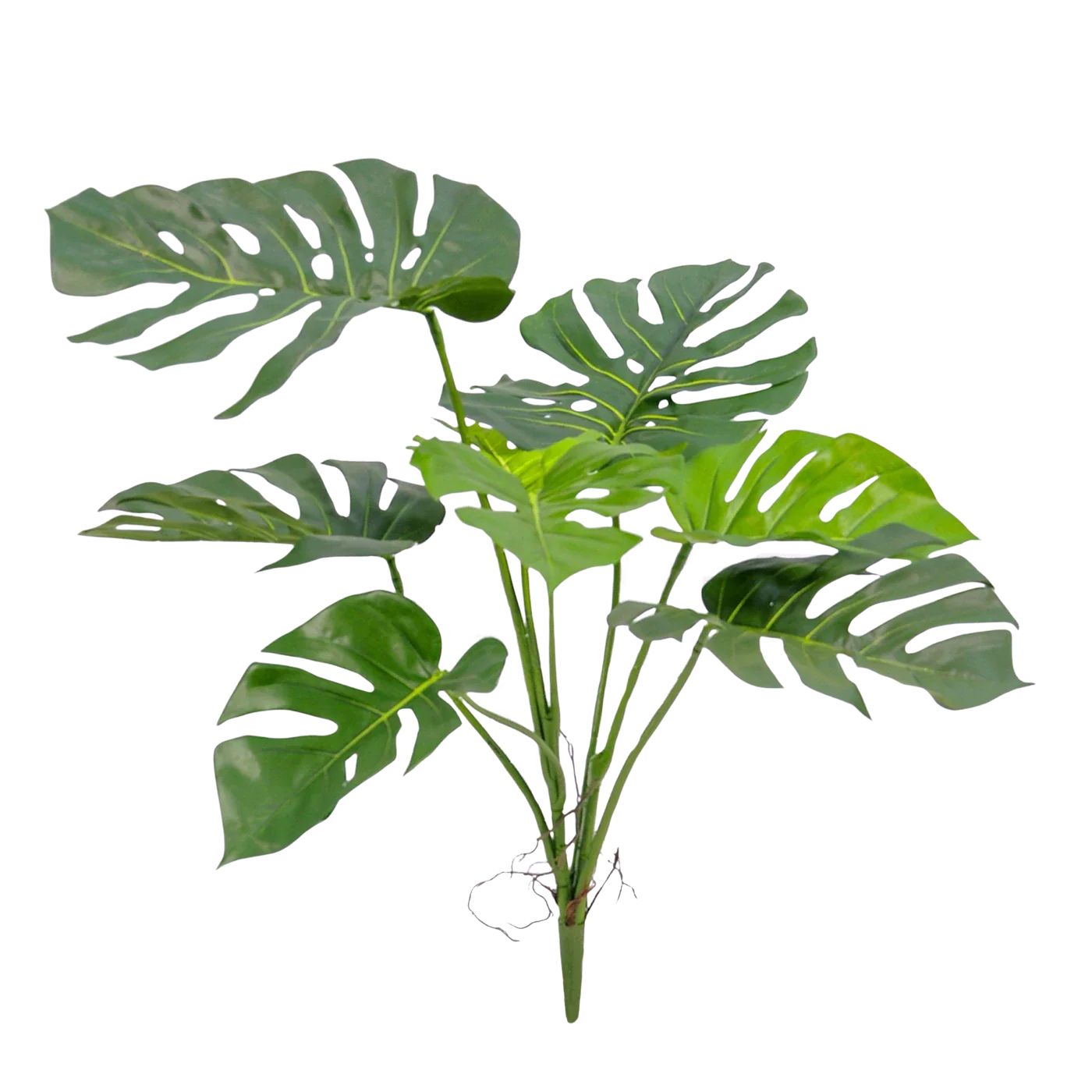 Künstliche Monstera - Lia | 75 cm