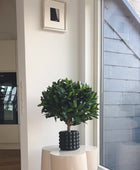 Alloro artificiale - Rosa | 55 cm