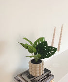 Monstera artificiale - Jonah | 30 cm