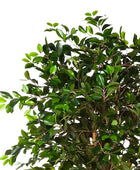 Ficus cinese artificiale - Konstantin | 180 cm