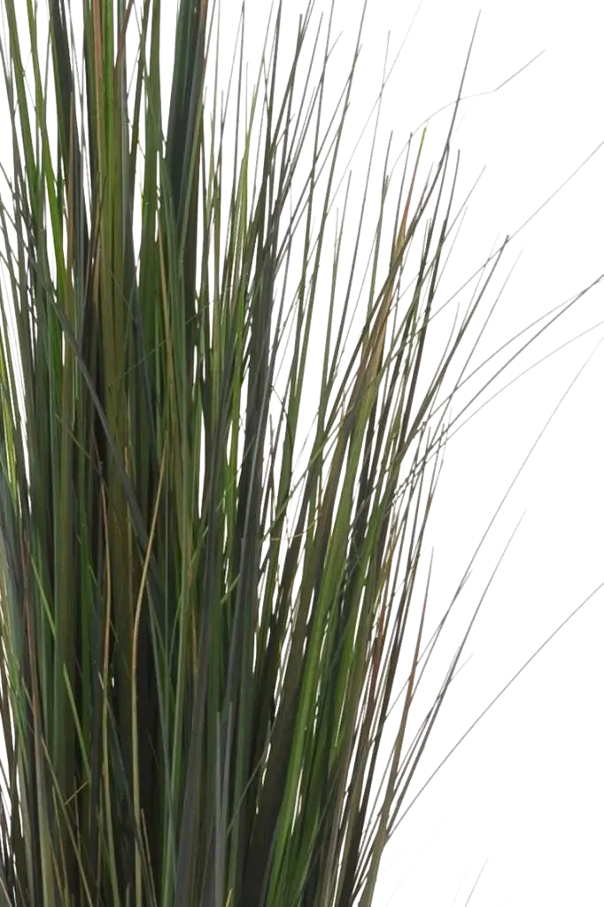 Künstliches Gras - Hanno | 90 cm auf transparentem Hintergrund, als Ausschnitt fotografiert, damit die Details der Kunstpflanze bzw. des Kunstbaums noch deutlicher zu erkennen sind.