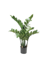 Künstliche Zamioculcas - Elena, 70 cm, Kunstpflanze von aplanta, im schwarzen Topf, in Natur, für drinnen