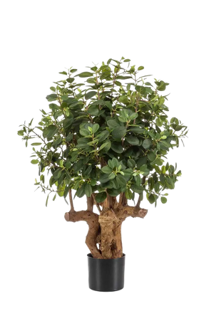 Albero artificiale Ficus Panda - Arne