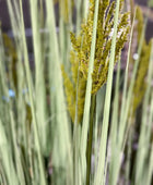 Künstliches Gras - Henrik | 150 cm | Kunstpflanze von aplanta
