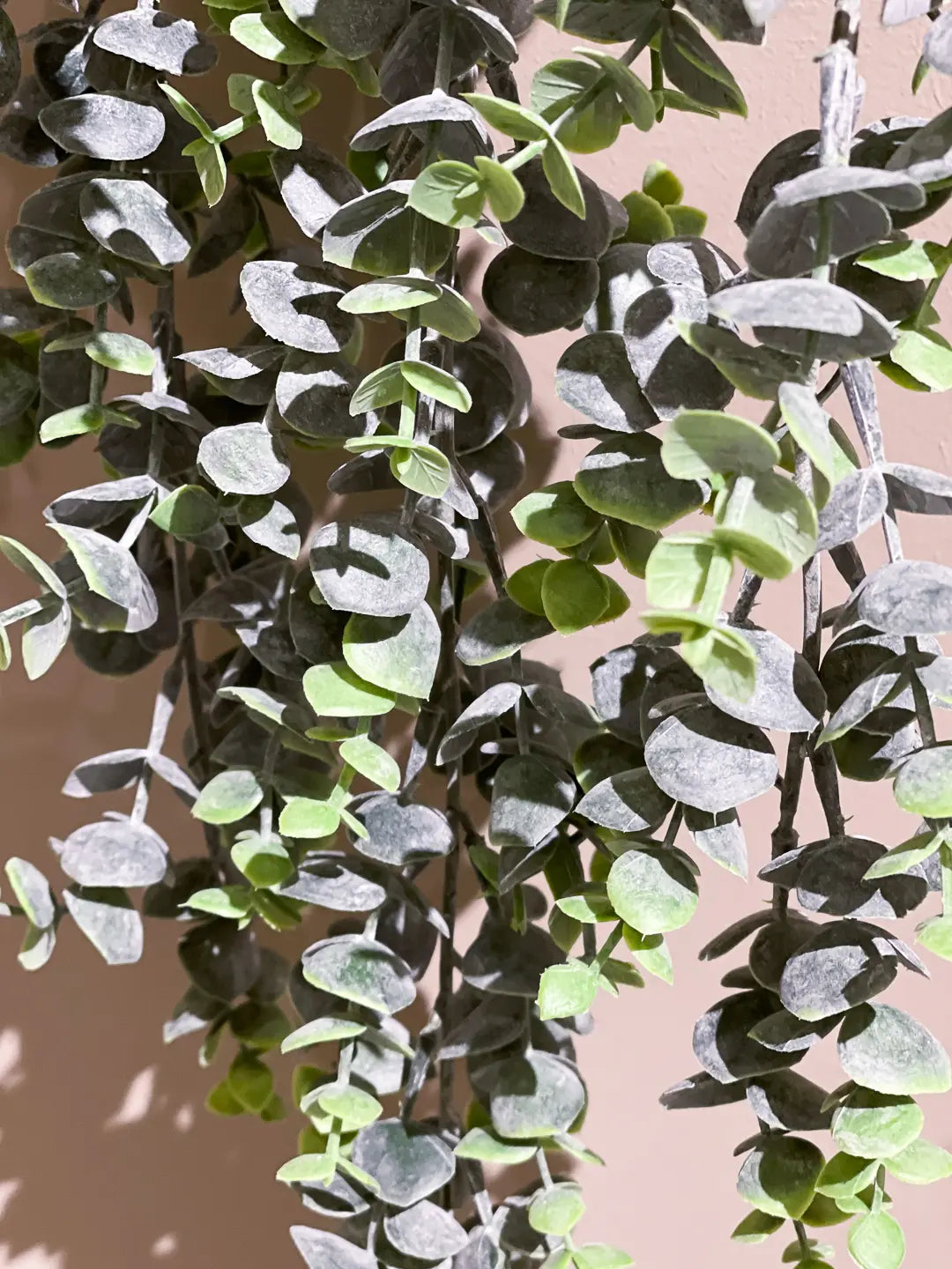 Künstlicher Hänge-Eucalyptus - Richard | 75 cm | Kunstpflanze von aplanta