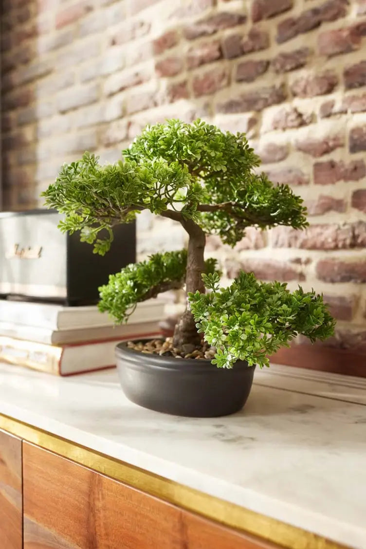 Ficus Bonsai artificiale - Yui | 32 cm