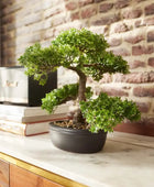Ficus Bonsai artificiale - Yui | 32 cm