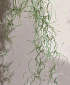 Tillandsia hair bush 85cm grey |  von aplanta