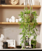 Asparago artificiale sospeso - Klaas | 65 cm