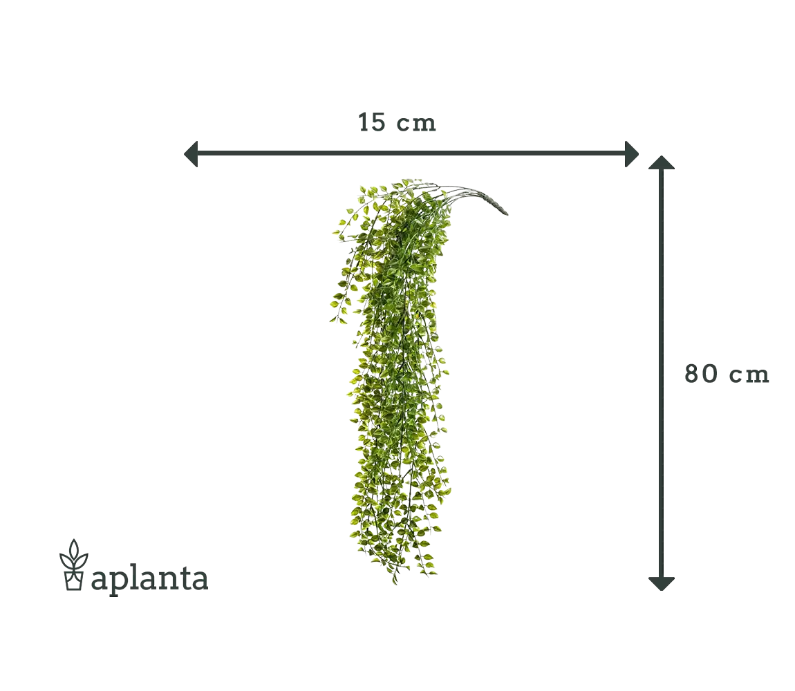 Ficus rampicante artificiale sospeso - Keno | 80 cm