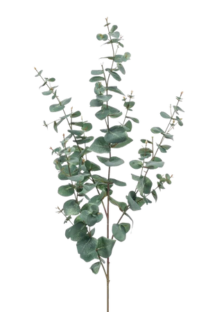 Albero finto di eucalipto ANUHEA, tronco finto, verde-grigio, 180cm