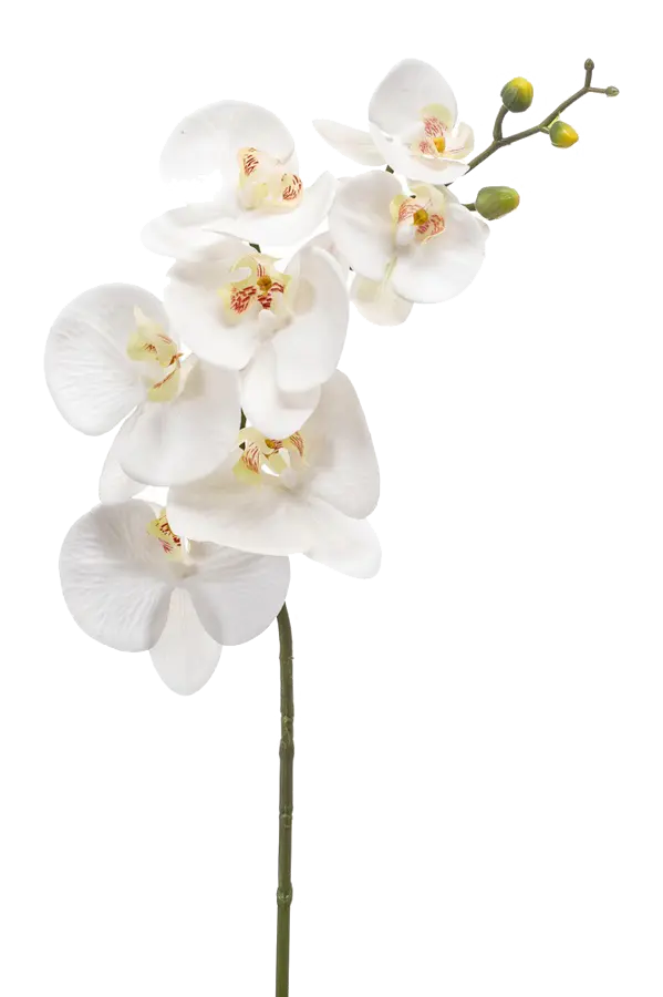 Künstliche Orchidee - Chen Lu