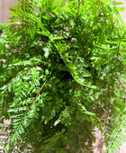 Künstlicher Hänge-Farn - Jolie | 35 cm | Kunstpflanze von aplanta