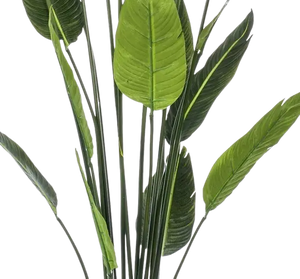 Strelitzia artificiale - Christian | 150 cm
