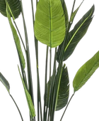 Strelitzia artificiale - Christian | 150 cm