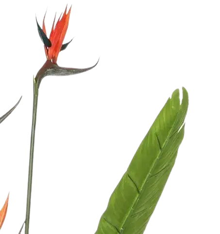 Künstliche Strelitzia - Christian | 155 cm auf transparentem Hintergrund, als Ausschnitt fotografiert, damit die Details der Kunstpflanze bzw. des Kunstbaums noch deutlicher zu erkennen sind.