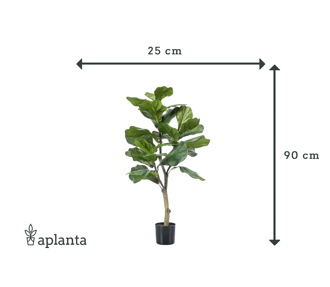 Künstlicher Ficus Lyrata - Mona | 90 cm