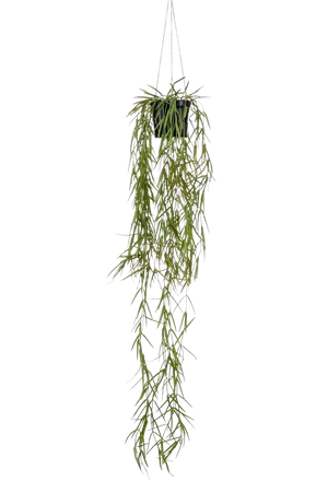 Künstliche Hänge-Hoya - Kurt, 80 cm, Kunstpflanze von aplanta, in Grün, für drinnen