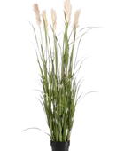 Hochwertiges Pampasgras künstlich auf transparentem Hintergrund mit echt wirkenden Kunstblättern in natürlicher Anordnung. Künstliches Pampasgras - Luis hat die Farbe Grün und ist 160 cm hoch. | aplanta Kunstpflanzen