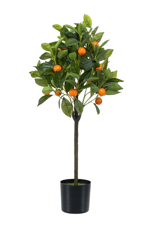 Künstlicher Orangenbaum - Julia auf transparentem Hintergrund mit echt wirkenden Kunstblättern. Diese Kunstpflanze gehört zur Gattung/Familie der "Orangenbaum" bzw. "Kunst-Orangenbaum".