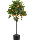 Künstlicher Orangenbaum - Julia auf transparentem Hintergrund mit echt wirkenden Kunstblättern. Diese Kunstpflanze gehört zur Gattung/Familie der 