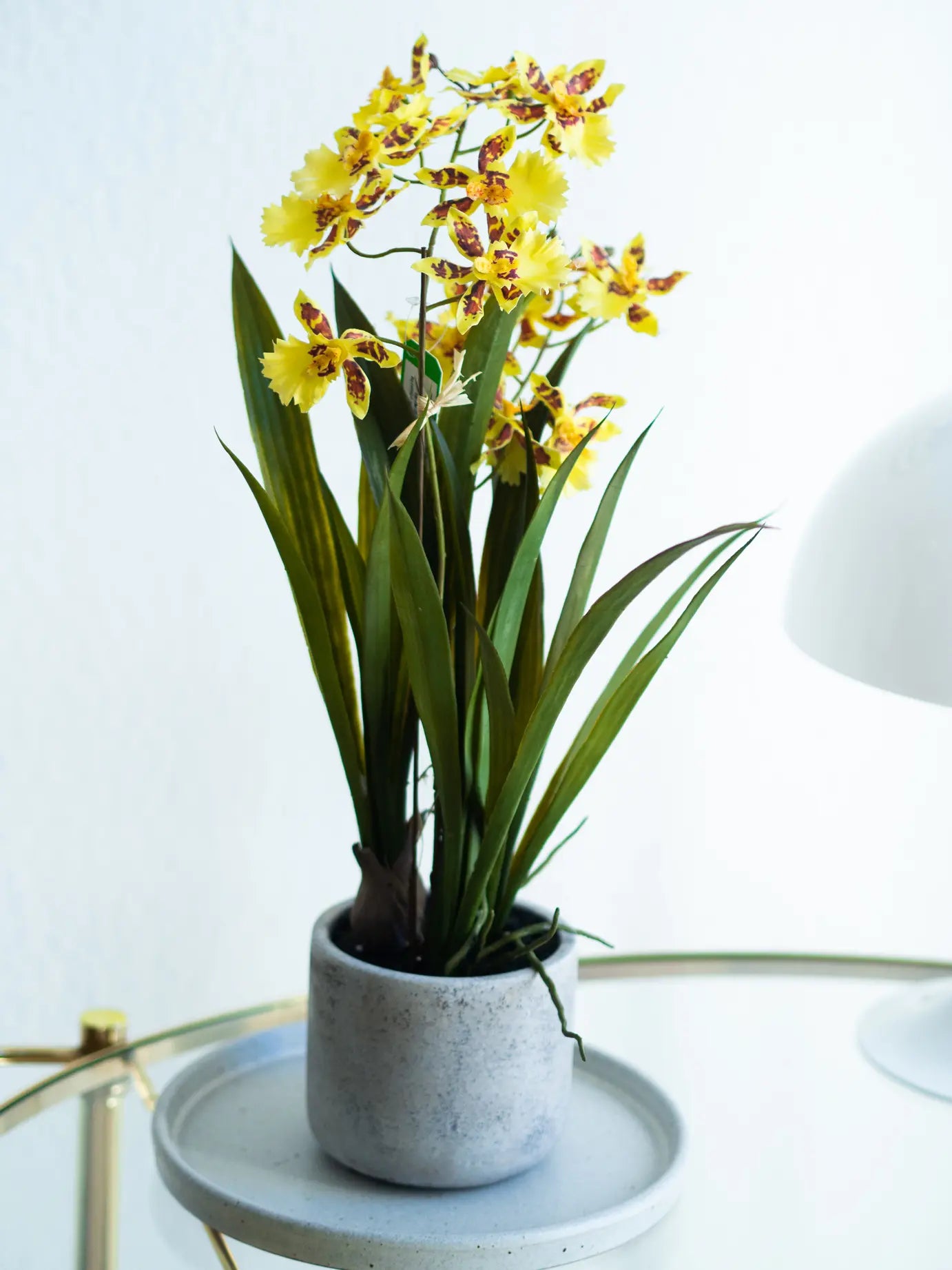 Orchidea artificiale - Lilli | 45 cm