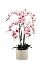 Künstliche Orchidee - Leo, 100 cm, Kunstblume von aplanta, inkl. Dekotopf, in Natur, für drinnen