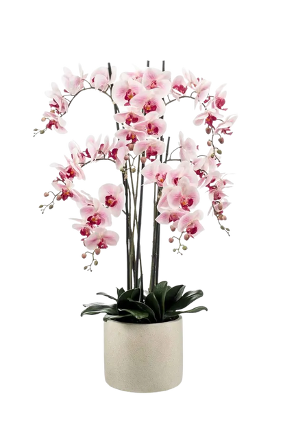 Künstliche Orchidee - Leo, 100 cm, Kunstblume von aplanta, inkl. Dekotopf, in Natur, für drinnen