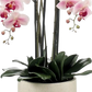 Künstliche Orchidee - Leo, 100 cm, Kunstblume von aplanta, inkl. Dekotopf, in Natur, für drinnen