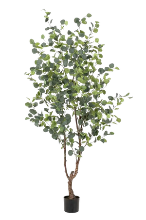 Corona di eucalipto artificiale ANDRIUS con frutti, grigio-verde